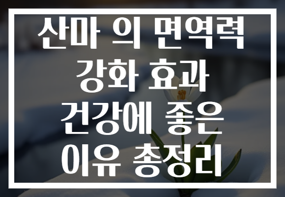 산마 의 면역력 강화 효과 건강에 좋은 이유 총정리
