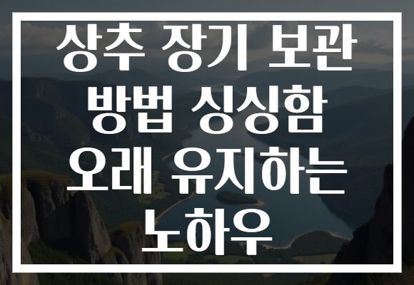 상추 장기 보관 방법 싱싱함 오래 유지하는 노하우