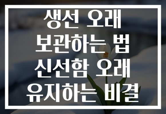 생선 오래 보관하는 법 신선함 오래 유지하는 비결
