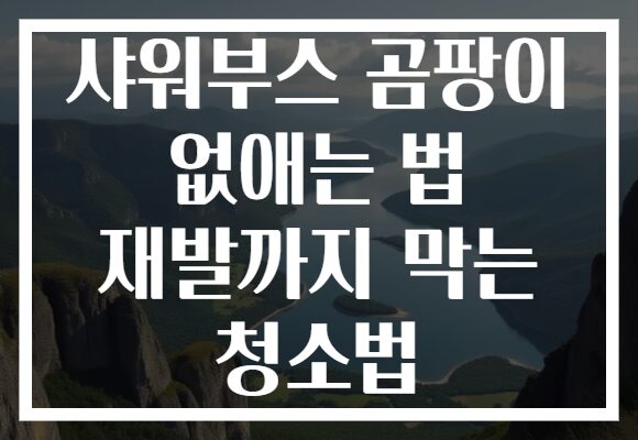 샤워부스 곰팡이 없애는 법 재발까지 막는 청소법