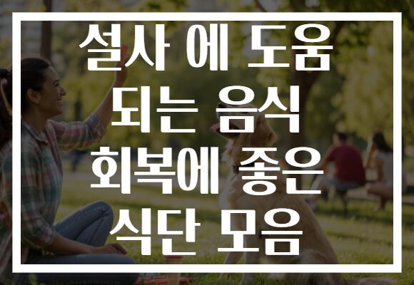 설사 에 도움 되는 음식 회복에 좋은 식단 모음