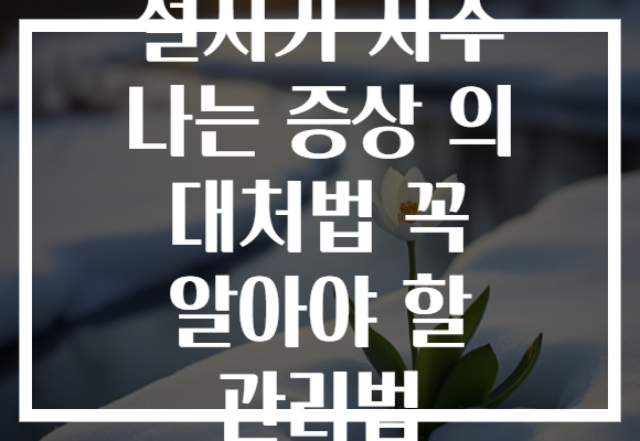 설사가 자주 나는 증상 의 대처법 꼭 알아야 할 관리법