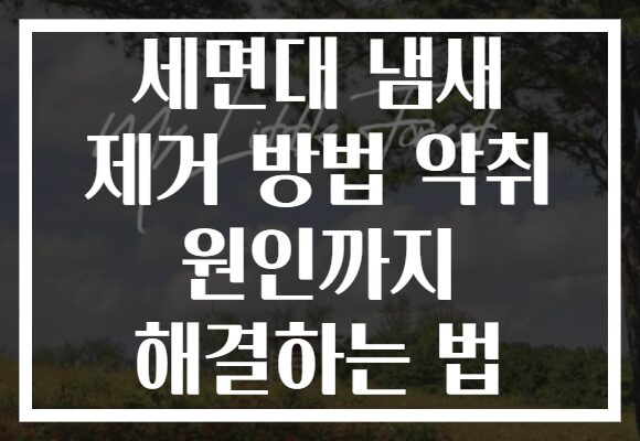 세면대 냄새 제거 방법 악취 원인까지 해결하는 법