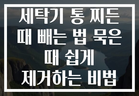 세탁기 통 찌든 때 빼는 법 묵은 때 쉽게 제거하는 비법