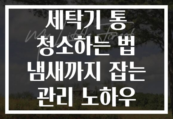 세탁기 통 청소하는 법 냄새까지 잡는 관리 노하우