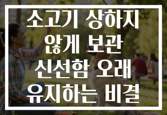소고기 상하지 않게 보관 신선함 오래 유지하는 비결