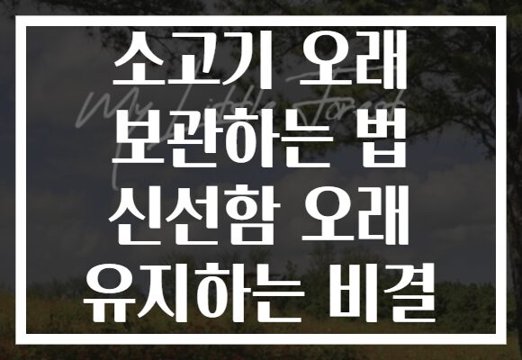소고기 오래 보관하는 법 신선함 오래 유지하는 비결