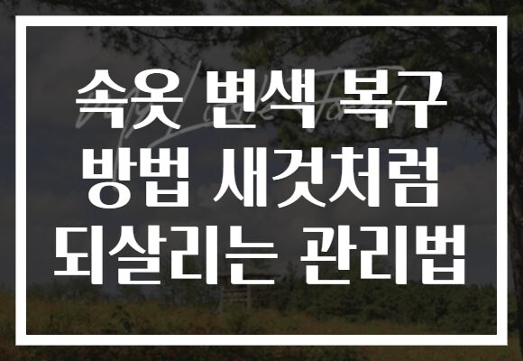 속옷 변색 복구 방법 새것처럼 되살리는 관리법