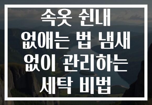 속옷 쉰내 없애는 법 냄새 없이 관리하는 세탁 비법