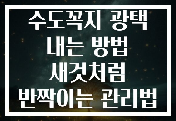 수도꼭지 광택 내는 방법 새것처럼 반짝이는 관리법