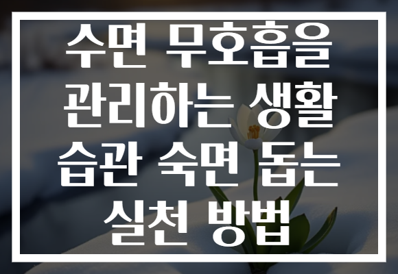 수면 무호흡을 관리하는 생활 습관 숙면 돕는 실천 방법