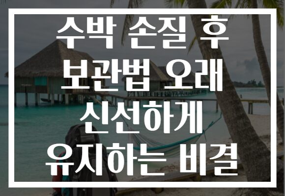 수박 손질 후 보관법 오래 신선하게 유지하는 비결