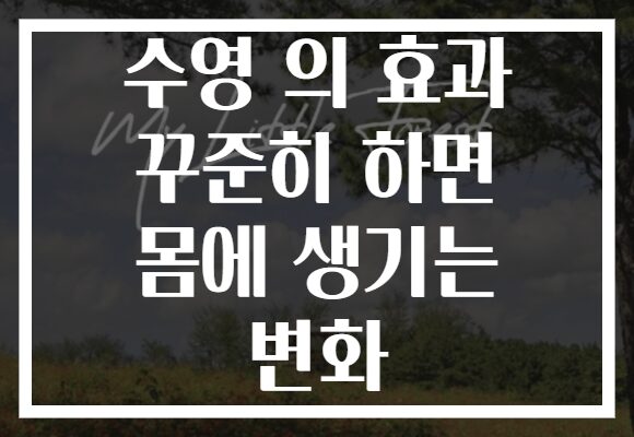 수영 의 효과 꾸준히 하면 몸에 생기는 변화
