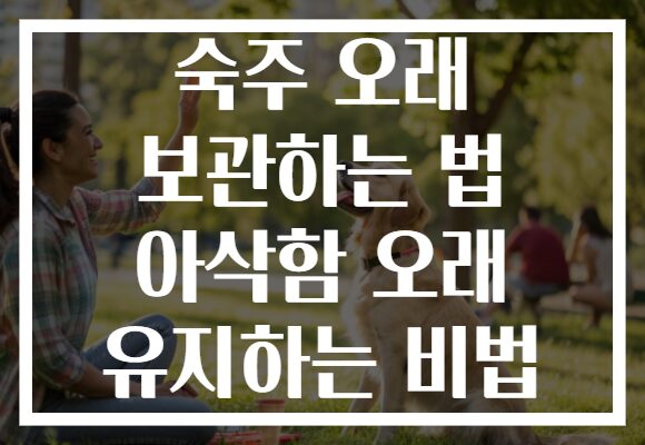 숙주 오래 보관하는 법 아삭함 오래 유지하는 비법