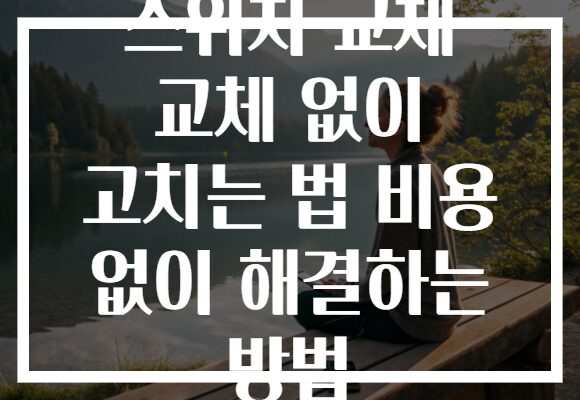 스위치 교체 교체 없이 고치는 법 비용 없이 해결하는 방법