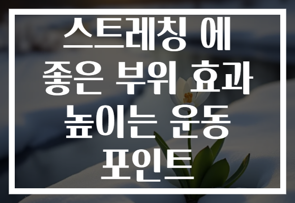 스트레칭 에 좋은 부위 효과 높이는 운동 포인트