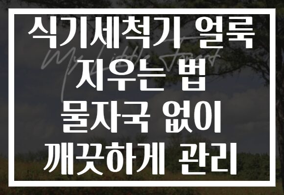 식기세척기 얼룩 지우는 법 물자국 없이 깨끗하게 관리