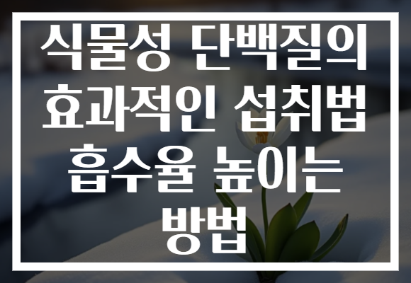 식물성 단백질의 효과적인 섭취법 흡수율 높이는 방법