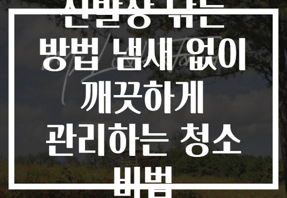 신발장 닦는 방법 냄새 없이 깨끗하게 관리하는 청소 비법