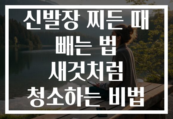 신발장 찌든 때 빼는 법 새것처럼 청소하는 비법