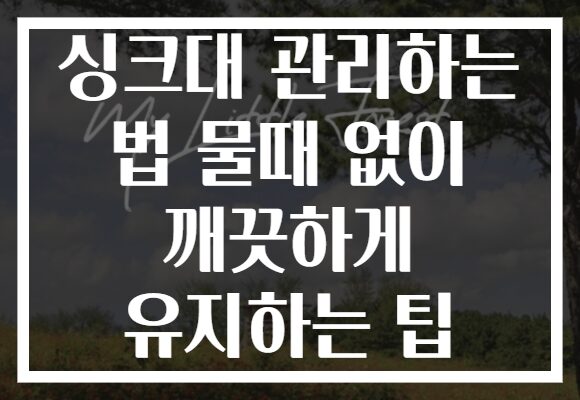 싱크대 관리하는 법 물때 없이 깨끗하게 유지하는 팁