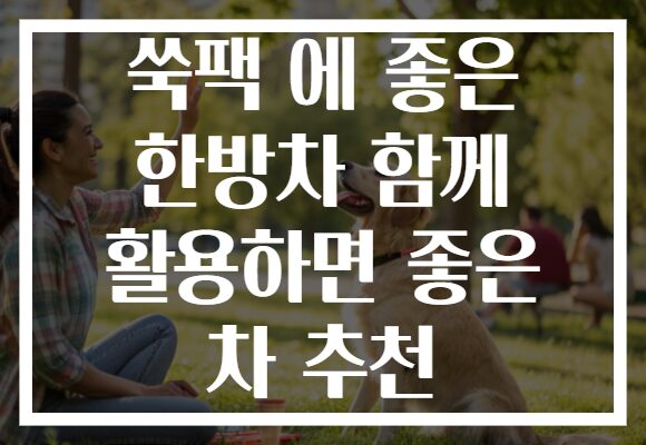 쑥팩 에 좋은 한방차 함께 활용하면 좋은 차 추천