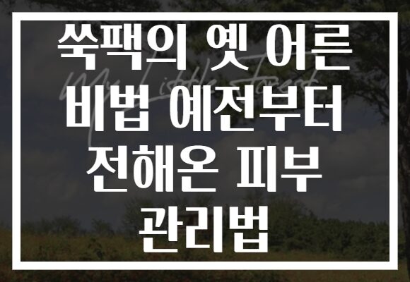 쑥팩의 옛 어른 비법 예전부터 전해온 피부 관리법