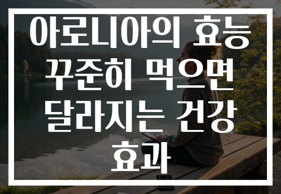 아로니아의 효능 꾸준히 먹으면 달라지는 건강 효과
