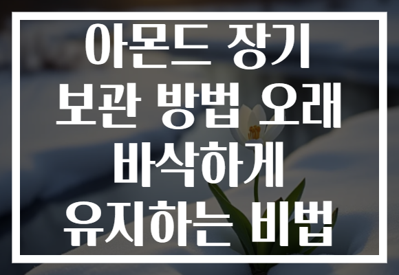 아몬드 장기 보관 방법 오래 바삭하게 유지하는 비법