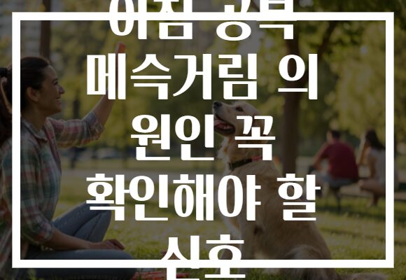 아침 공복 메슥거림 의 원인 꼭 확인해야 할 신호