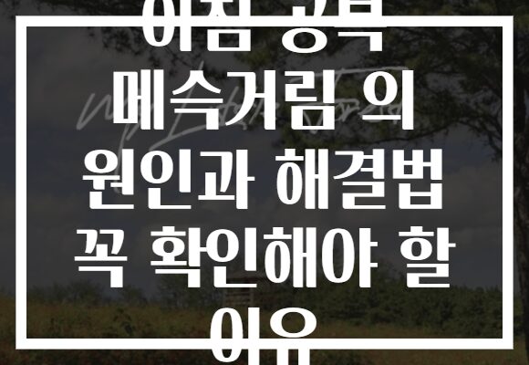 아침 공복 메슥거림 의 원인과 해결법 꼭 확인해야 할 이유