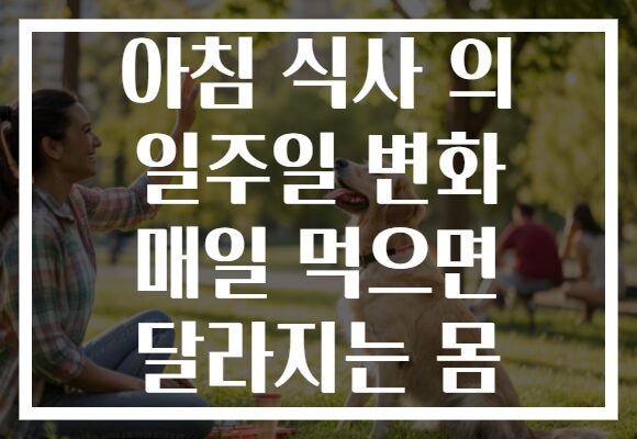 아침 식사 의 일주일 변화 매일 먹으면 달라지는 몸