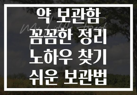 약 보관함 꼼꼼한 정리 노하우 찾기 쉬운 보관법