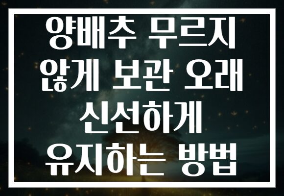 양배추 무르지 않게 보관 오래 신선하게 유지하는 방법