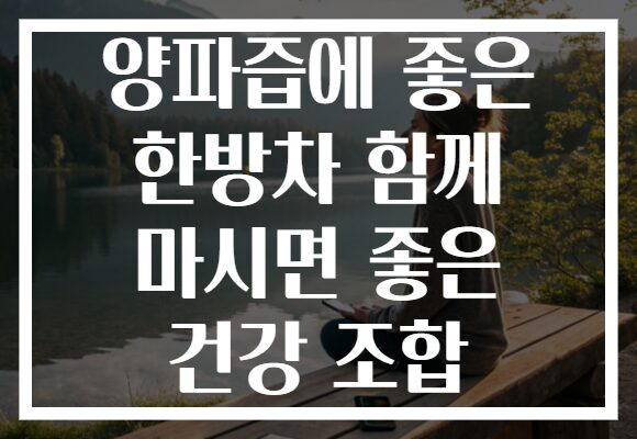 양파즙에 좋은 한방차 함께 마시면 좋은 건강 조합