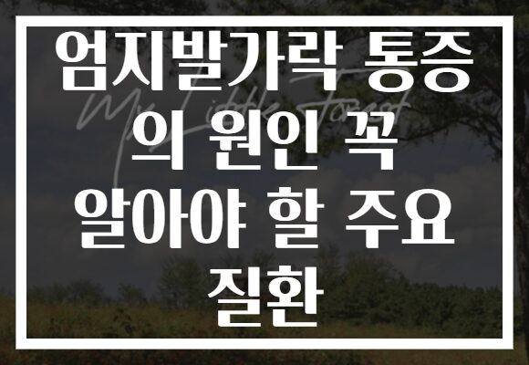 엄지발가락 통증 의 원인 꼭 알아야 할 주요 질환