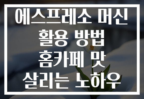 에스프레소 머신 활용 방법 홈카페 맛 살리는 노하우