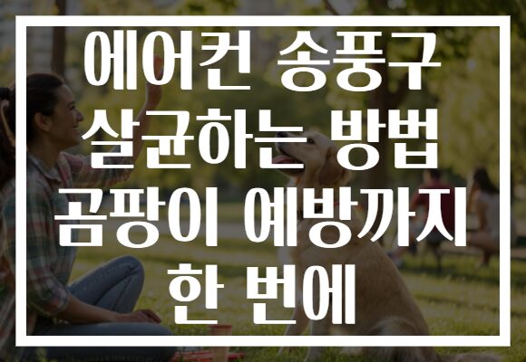 에어컨 송풍구 살균하는 방법 곰팡이 예방까지 한 번에