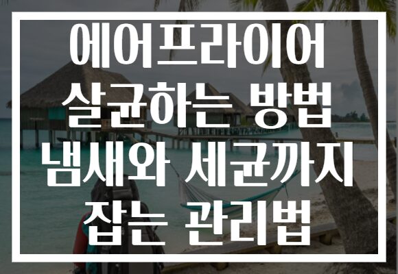 에어프라이어 살균하는 방법 냄새와 세균까지 잡는 관리법