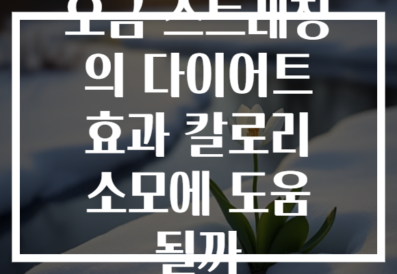 오금 스트레칭 의 다이어트 효과 칼로리 소모에 도움 될까