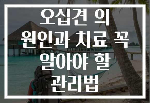오십견 의 원인과 치료 꼭 알아야 할 관리법