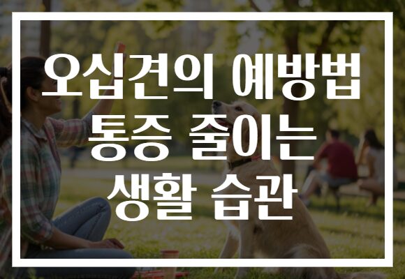 오십견의 예방법 통증 줄이는 생활 습관
