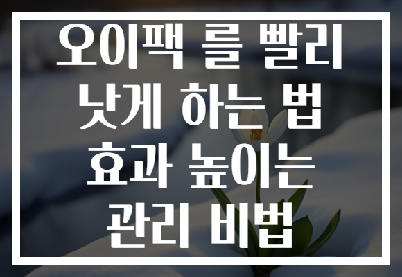 오이팩 를 빨리 낫게 하는 법 효과 높이는 관리 비법