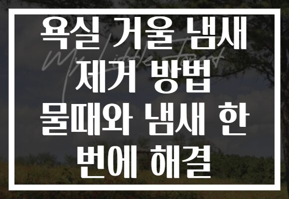 욕실 거울 냄새 제거 방법 물때와 냄새 한 번에 해결