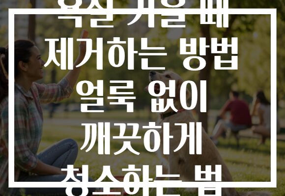 욕실 거울 때 제거하는 방법 얼룩 없이 깨끗하게 청소하는 법