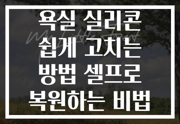 욕실 실리콘 쉽게 고치는 방법 셀프로 복원하는 비법