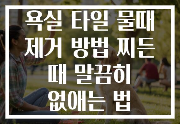 욕실 타일 물때 제거 방법 찌든 때 말끔히 없애는 법