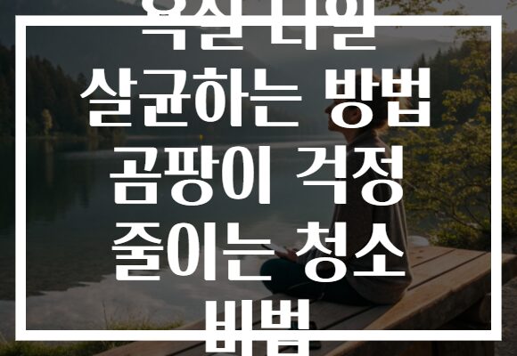 욕실 타일 살균하는 방법 곰팡이 걱정 줄이는 청소 비법