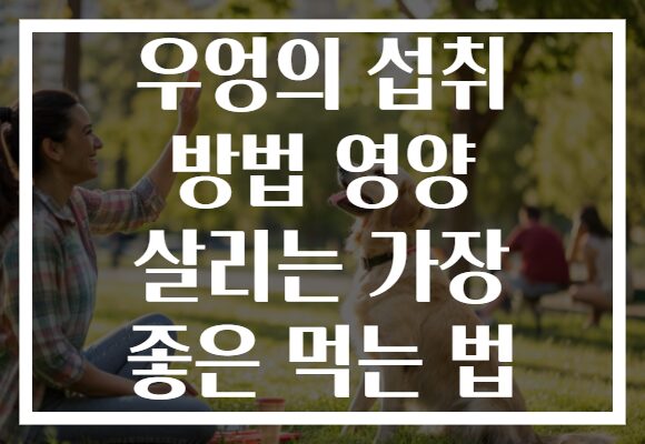 우엉의 섭취 방법 영양 살리는 가장 좋은 먹는 법