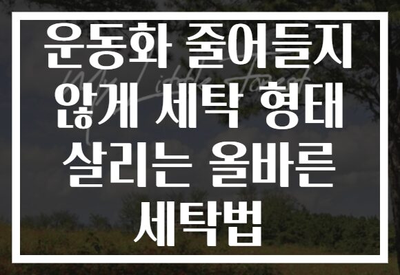 운동화 줄어들지 않게 세탁 형태 살리는 올바른 세탁법